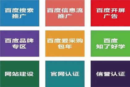 网站SEM托管服务客户案例分享